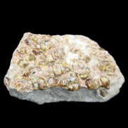 Peridot on matrix 37*34*27mm 48g in sunlight - Rocks and Things Store