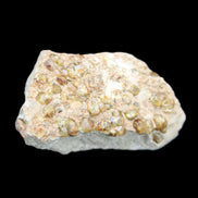 Peridot on matrix 37*34*27mm 48g in sunlight - Rocks and Things Store