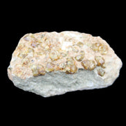 Peridot on matrix 37*34*27mm 48g in sunlight - Rocks and Things Store