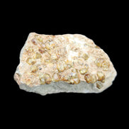 Peridot on matrix 37*34*27mm 48g in sunlight - Rocks and Things Store