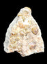 Peridot on matrix 51*33*23mm 77g in sunlight - Rocks and Things Store