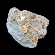 Peridot on matrix 51*33*23mm 77g in sunlight - Rocks and Things Store