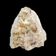 Peridot on matrix 51*33*23mm 77g in sunlight - Rocks and Things Store