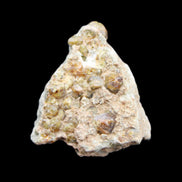 Peridot on matrix 51*33*23mm 77g in sunlight - Rocks and Things Store