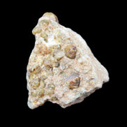 Peridot on matrix 51*33*23mm 77g in sunlight - Rocks and Things Store