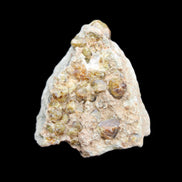 Peridot on matrix 51*33*23mm 77g in sunlight - Rocks and Things Store