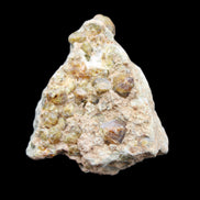 Peridot on matrix 51*33*23mm 77g in sunlight - Rocks and Things Store