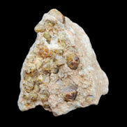 Peridot on matrix 51*33*23mm 77g in sunlight - Rocks and Things Store