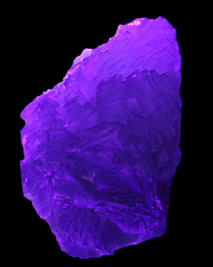 Stepped Clear, Blue and Purple Fluorite cluster 185*135*79mm 1349g in UV light - Rocks and Things Store