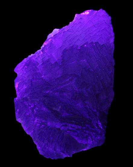 Stepped Clear, Blue and Purple Fluorite cluster 185*135*79mm 1349g in UV light - Rocks and Things Store