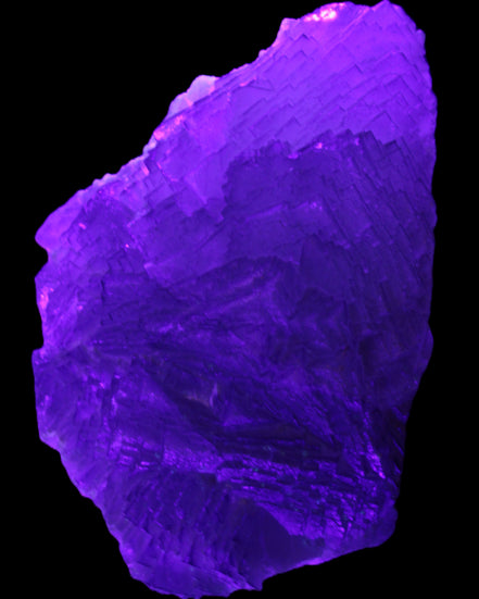 Stepped Clear, Blue and Purple Fluorite cluster 185*135*79mm 1349g in UV light - Rocks and Things Store