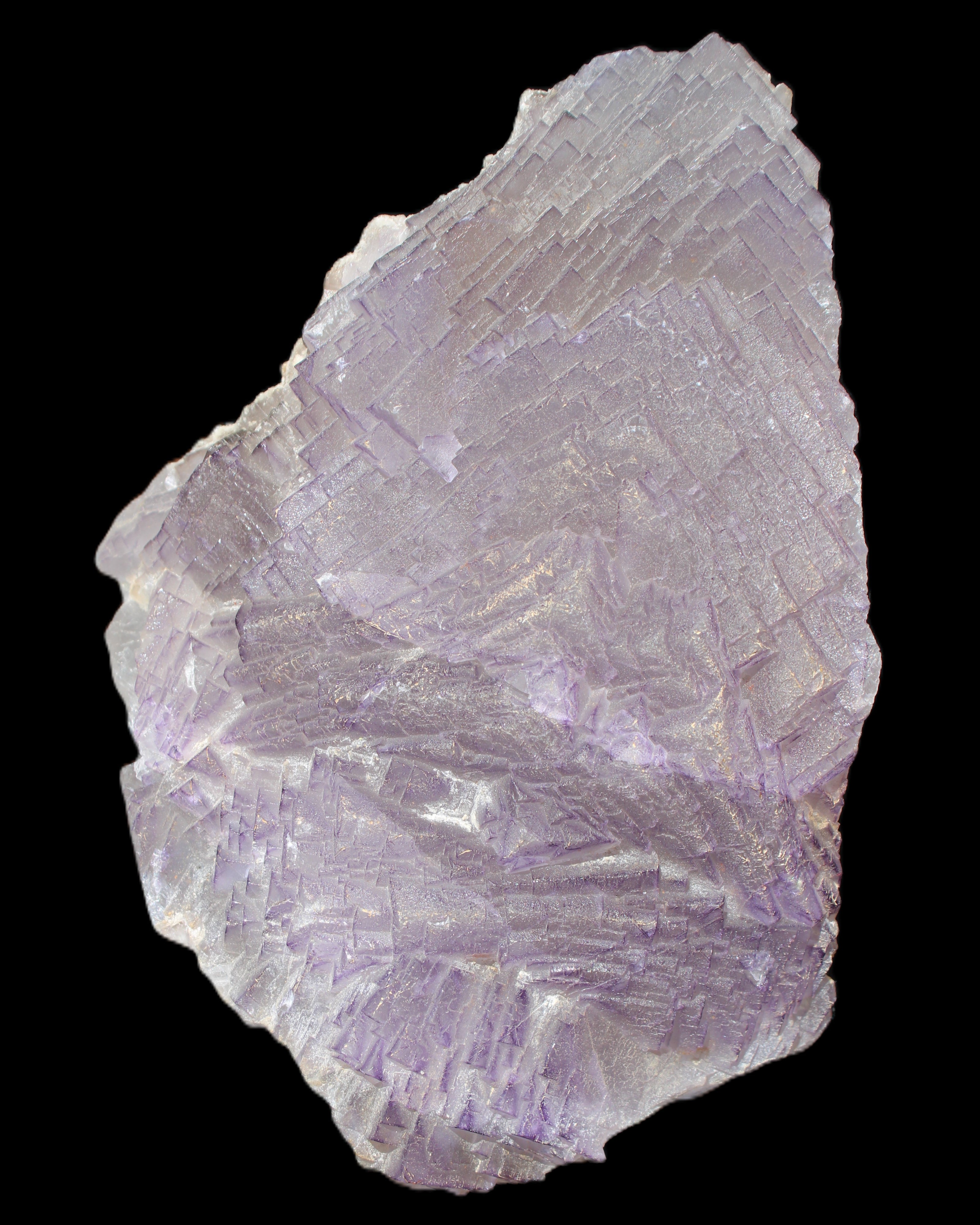 Stepped Clear, Blue and Purple Fluorite cluster 185*135*79mm 1349g in sunlight - Rocks and Things Store