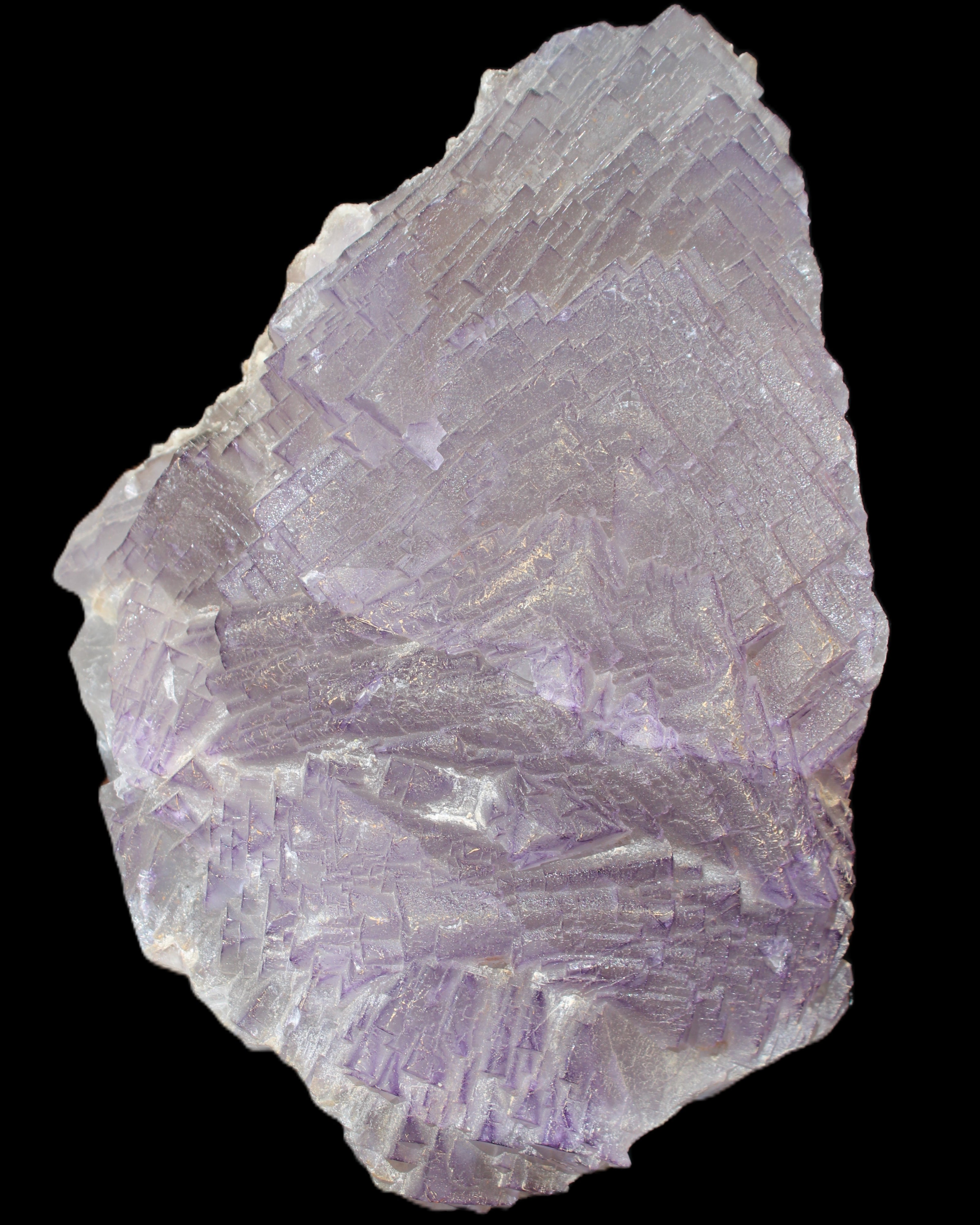 Stepped Clear, Blue and Purple Fluorite cluster 185*135*79mm 1349g in sunlight - Rocks and Things Store