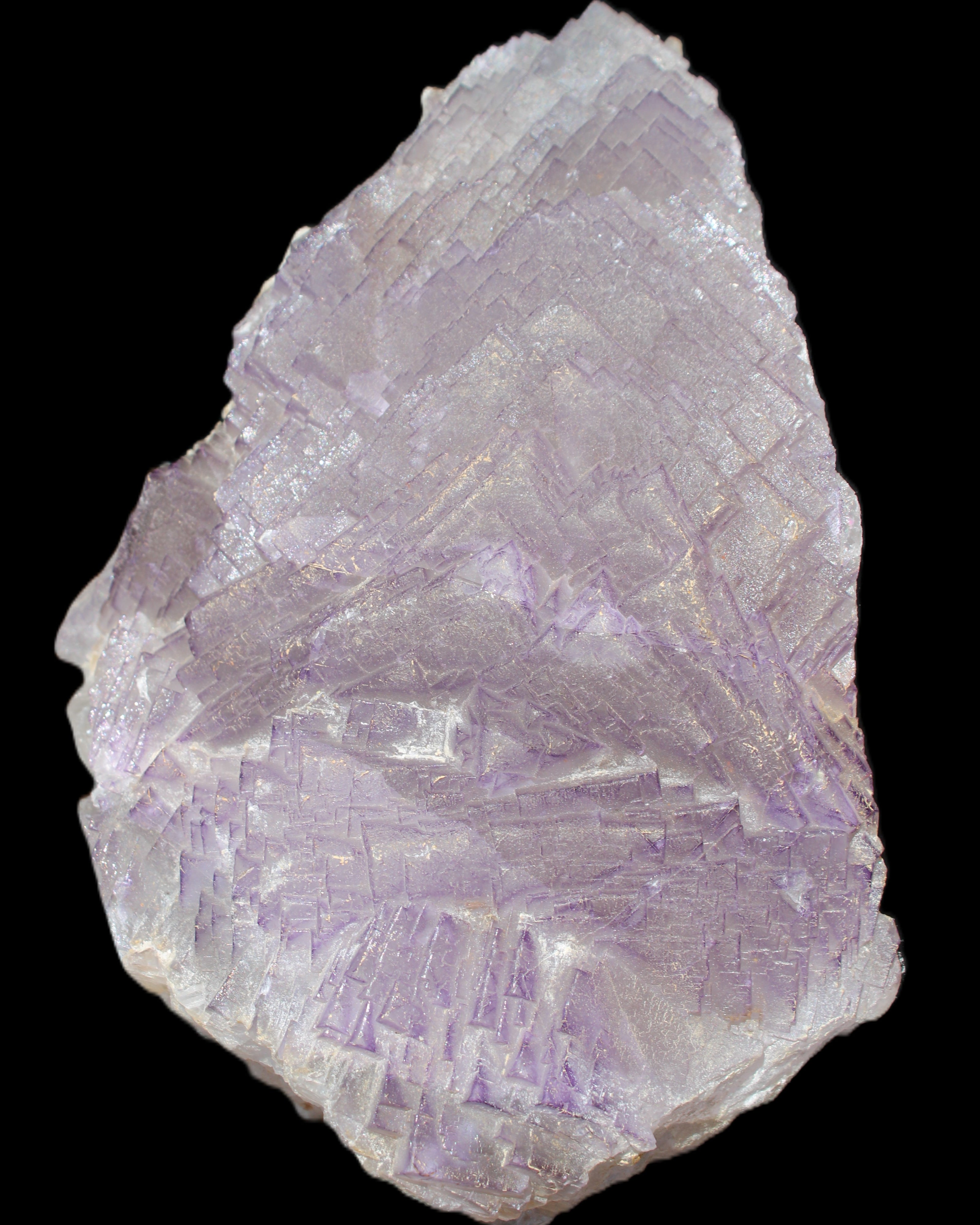 Stepped Clear, Blue and Purple Fluorite cluster 185*135*79mm 1349g in sunlight - Rocks and Things Store