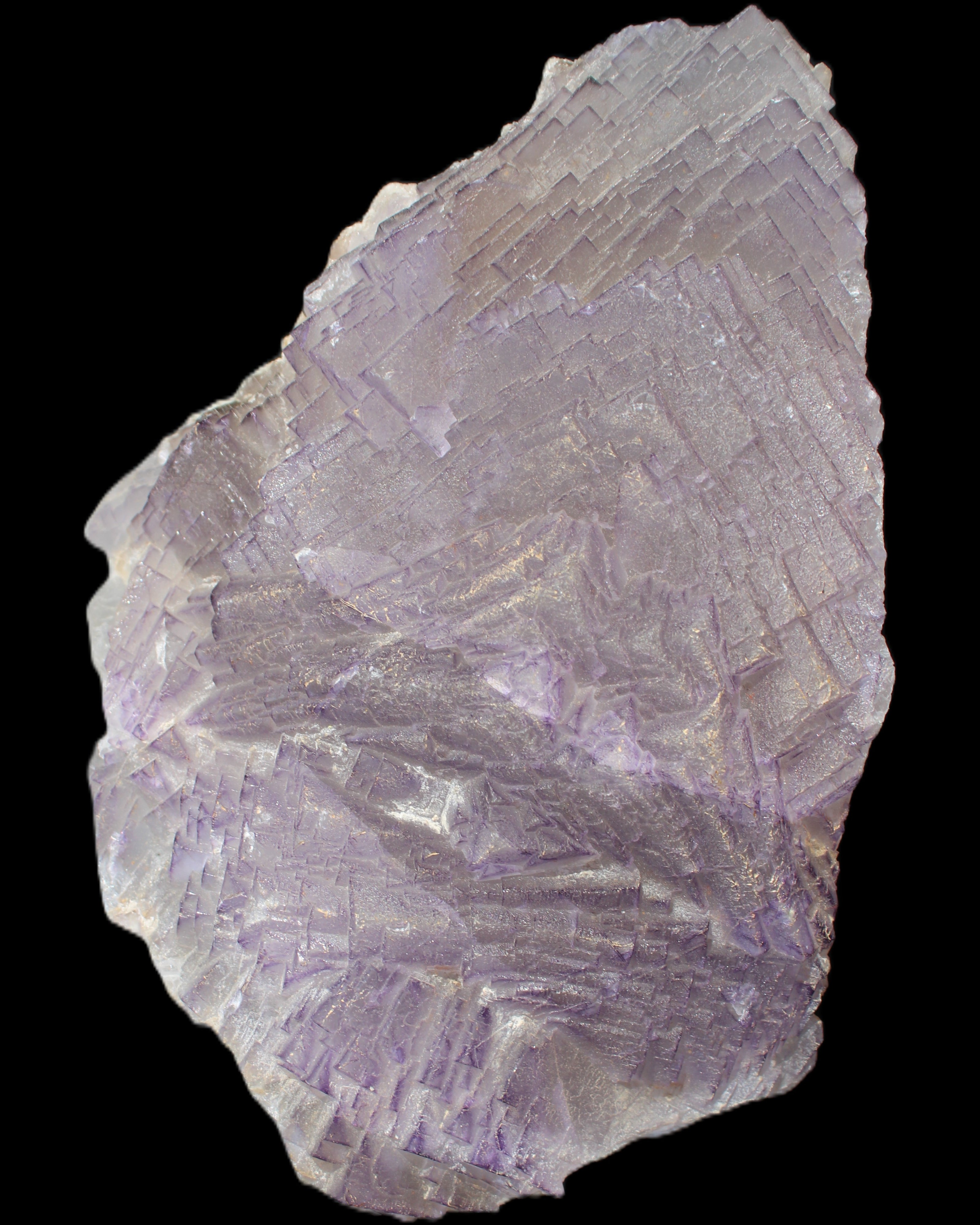 Stepped Clear, Blue and Purple Fluorite cluster 185*135*79mm 1349g in sunlight - Rocks and Things Store