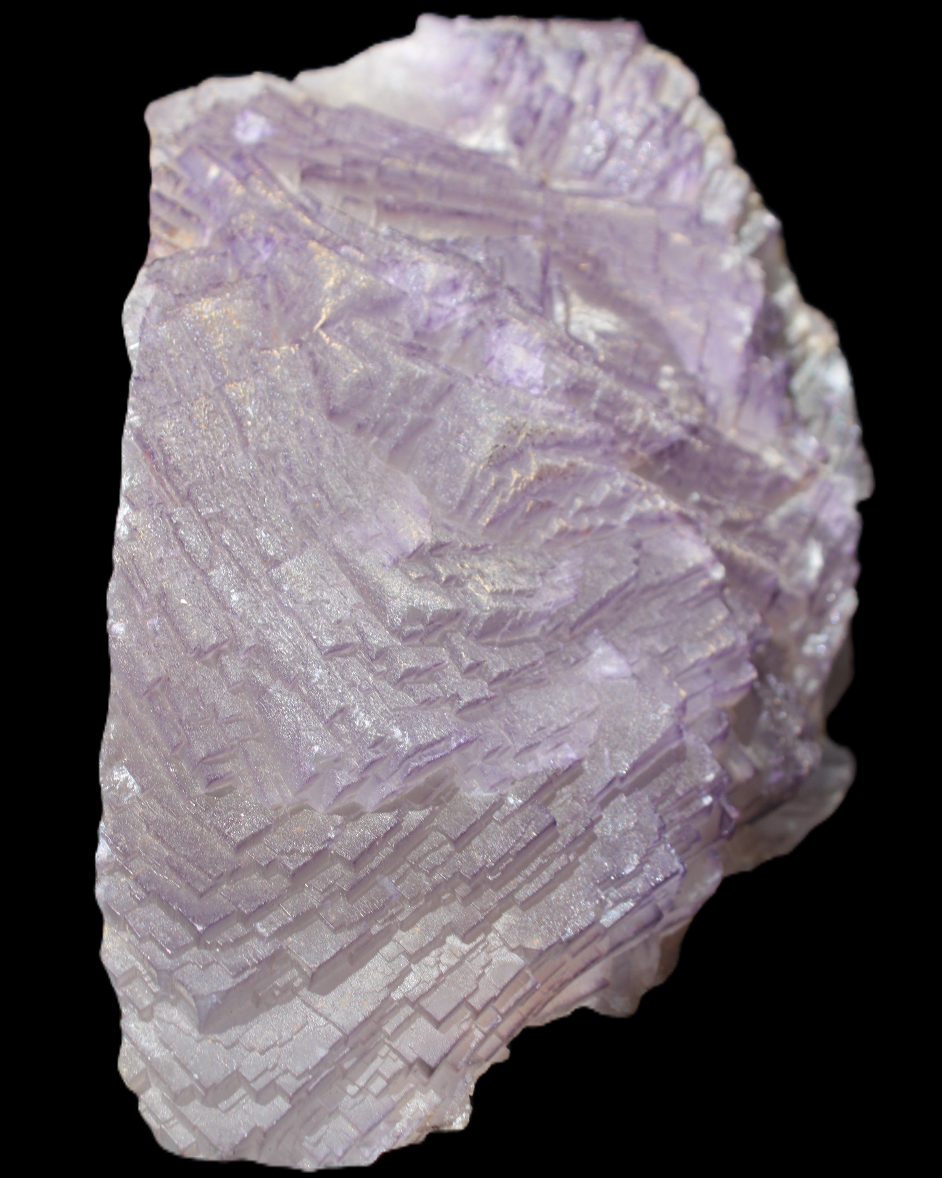 Stepped Clear, Blue and Purple Fluorite cluster 185*135*79mm 1349g in sunlight - Rocks and Things Store