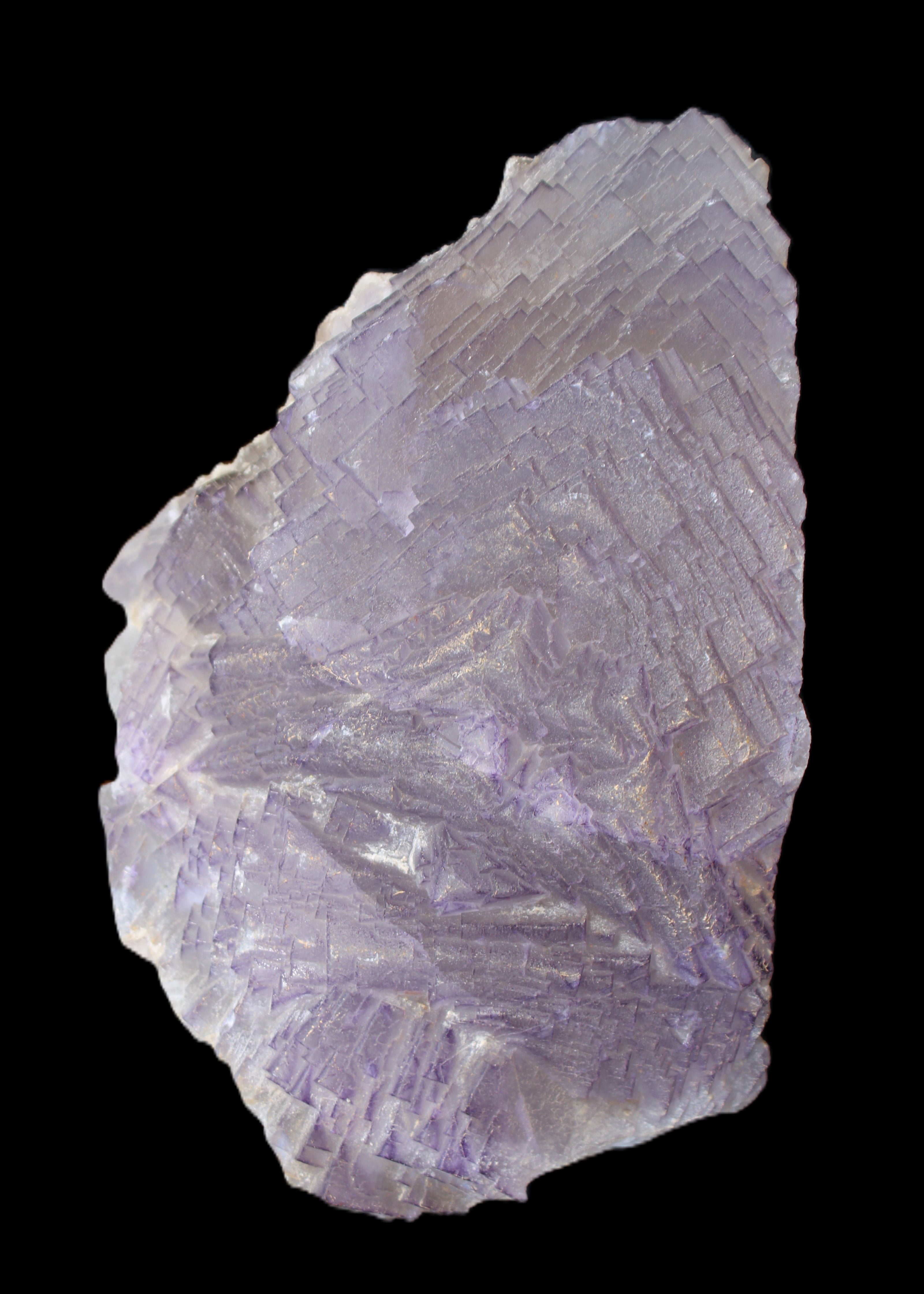 Stepped Clear, Blue and Purple Fluorite cluster 185*135*79mm 1349g in sunlight - Rocks and Things Store