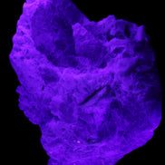 Green and Pink Tourmaline in Lepidolite, Feldspar and Quartz matrix 150*131*60mm 1204g in UV light - Rocks and Things Store