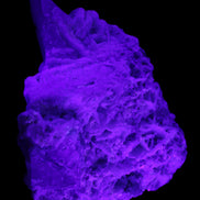 Green and Pink Tourmaline in Lepidolite, Feldspar and Quartz matrix 150*131*60mm 1204g in UV light - Rocks and Things Store