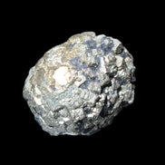 Chalcopyrite cluster from Pakistan 40mm 110g in sunlight - Rocks and Things Store