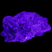 Green and Pink Tourmaline, Lepidolite, Kunzite, Aquamarine, Quartz Feldspar cluster 332g in UV light - Rocks and Things Store