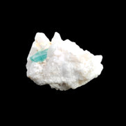 Green Tourmaline on Elestial Quartz 47*30*28mm 48g in sunlight - Rocks and Things Store