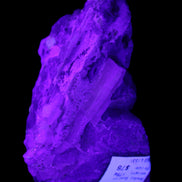 Elestial Smoky Quartz, Kunzite on Feldspar matrix 80mm 178g in UV light - Rocks and Things Store