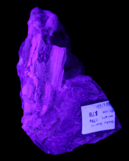 Elestial Smoky Quartz, Kunzite on Feldspar matrix 80mm 178g in UV light - Rocks and Things Store