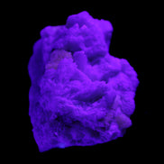 Apatite and hidden crystal on Mica and Feldspar matrix 47*38*24mm 51g in UV light - Rocks and Things Store