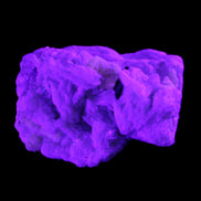 Apatite and hidden crystal on Mica and Feldspar matrix 47*38*24mm 51g in UV light - Rocks and Things Store