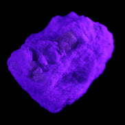 Apatite and hidden crystal on Mica and Feldspar matrix 47*38*24mm 51g in UV light - Rocks and Things Store