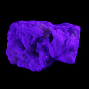 Apatite and hidden crystal on Mica and Feldspar matrix 47*38*24mm 51g in UV light - Rocks and Things Store