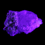 Green Tourmaline on Elestial Quartz 45*29*32mm 40.6g in UV light - Rocks and Things Store