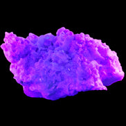 Pink and Clear Tourmaline in Lepidolite, Feldspar and Quartz matrix 90*45*50mm 188.7g in UV light - Rocks and Things Store