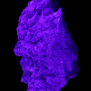 Pink and Clear Tourmaline in Lepidolite, Feldspar and Quartz matrix 90*45*50mm 188.7g in UV light - Rocks and Things Store