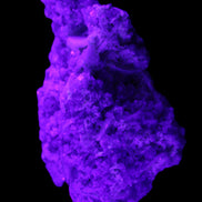 Pink and Clear Tourmaline in Lepidolite, Feldspar and Quartz matrix 90*45*50mm 188.7g in UV light - Rocks and Things Store