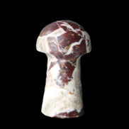 Red and White Jasper Marble mushroom 30-36mm 14-19g in sunlight - Rocks and Things Store