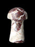 Red and White Jasper Marble mushroom 30-36mm 14-19g in sunlight - Rocks and Things Store