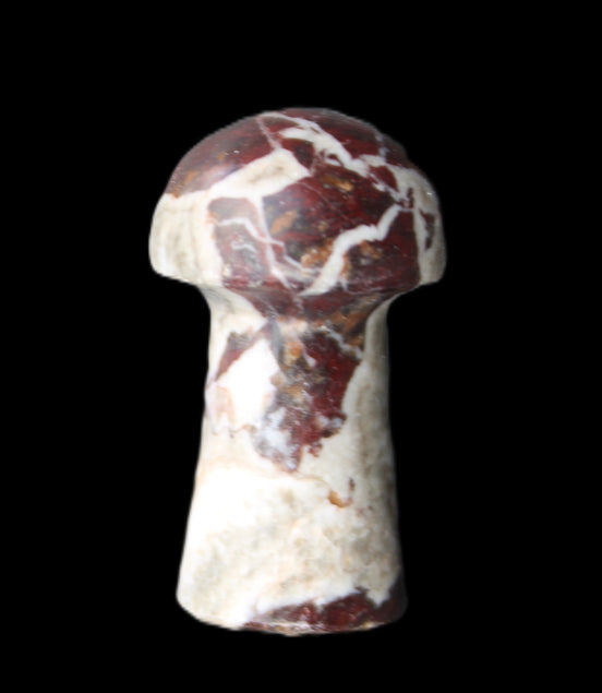 Red and White Jasper Marble mushroom 30-36mm 14-19g in sunlight - Rocks and Things Store