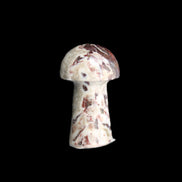 Red and White Jasper Marble mushroom 30-36mm 14-19g in sunlight - Rocks and Things Store
