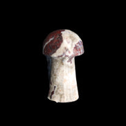 Red and White Jasper Marble mushroom 30-36mm 14-19g in sunlight - Rocks and Things Store