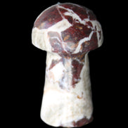 Red and White Jasper Marble mushroom 30-36mm 14-19g in sunlight - Rocks and Things Store