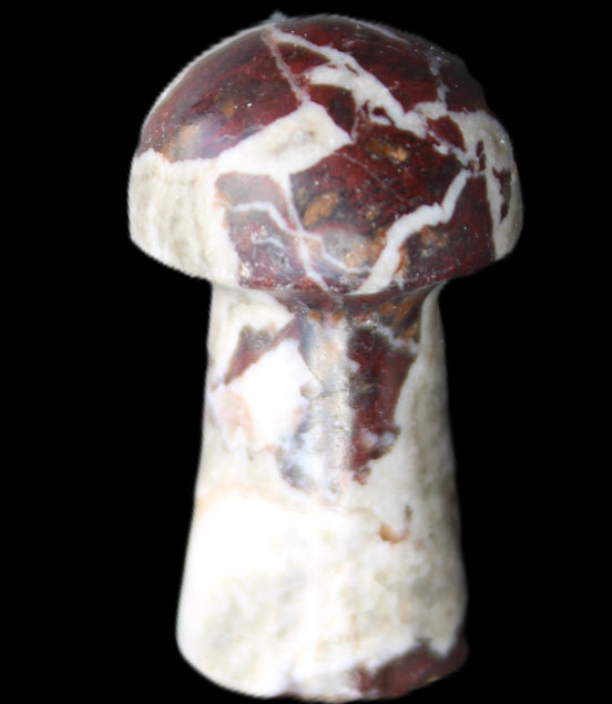 Red and White Jasper Marble mushroom 30-36mm 14-19g in sunlight - Rocks and Things Store
