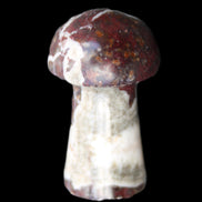 Red and White Jasper Marble mushroom 30-36mm 14-19g in sunlight - Rocks and Things Store
