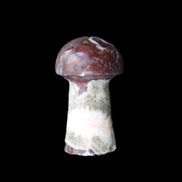 Red and White Jasper Marble mushroom 30-36mm 14-19g in sunlight - Rocks and Things Store