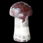 Red and White Jasper Marble mushroom 30-36mm 14-19g in sunlight - Rocks and Things Store