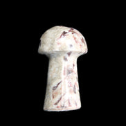 Red and White Jasper Marble mushroom 30-36mm 14-19g in sunlight - Rocks and Things Store