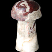 Red and White Jasper Marble mushroom 30-36mm 14-19g in sunlight - Rocks and Things Store