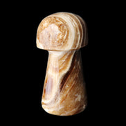 Chocolate Calcite mushroom 32-35mm 11-17g in sunlight - Rocks and Things Store