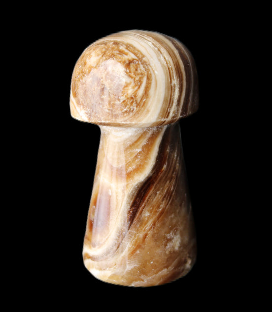 Chocolate Calcite mushroom 32-35mm 11-17g in sunlight - Rocks and Things Store